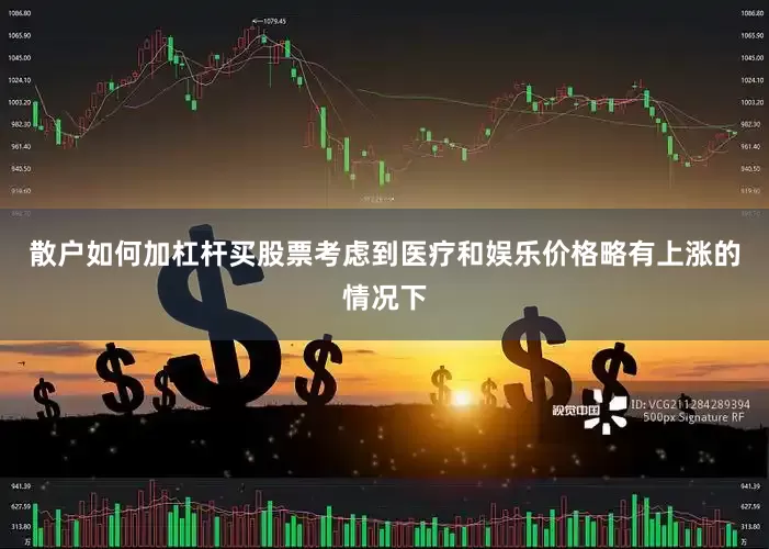 散户如何加杠杆买股票考虑到医疗和娱乐价格略有上涨的情况下