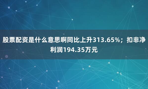 股票配资是什么意思啊同比上升313.65%；扣非净利润194.35万元