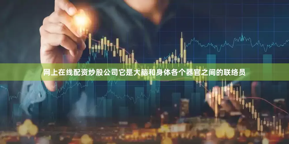网上在线配资炒股公司它是大脑和身体各个器官之间的联络员