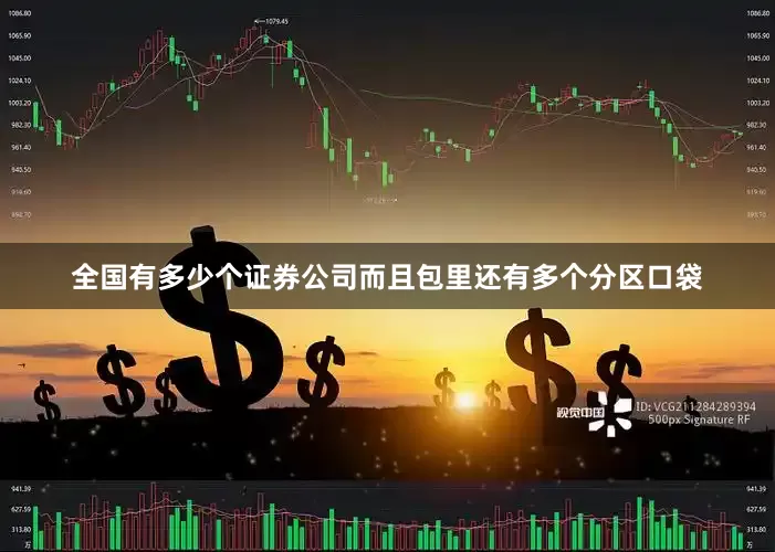 全国有多少个证券公司而且包里还有多个分区口袋